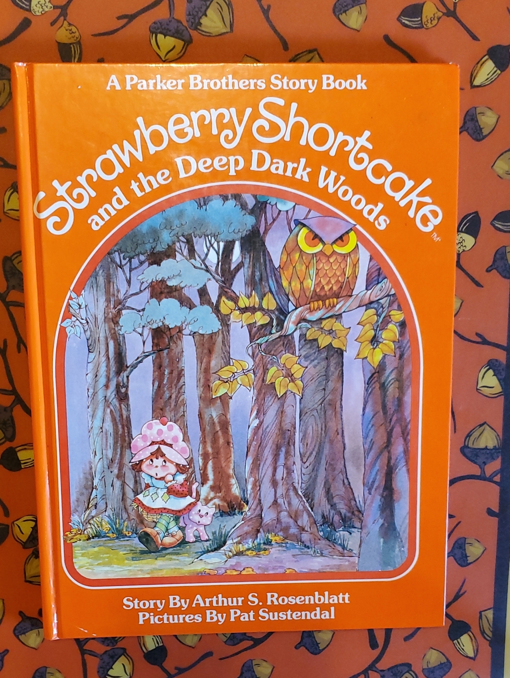 Strawberry Shortcake and the Deep Dark Woods - Orange Kids Story Book - Picture 1 of 8